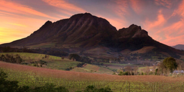 Stellenbosch - South Africa 2016/2019